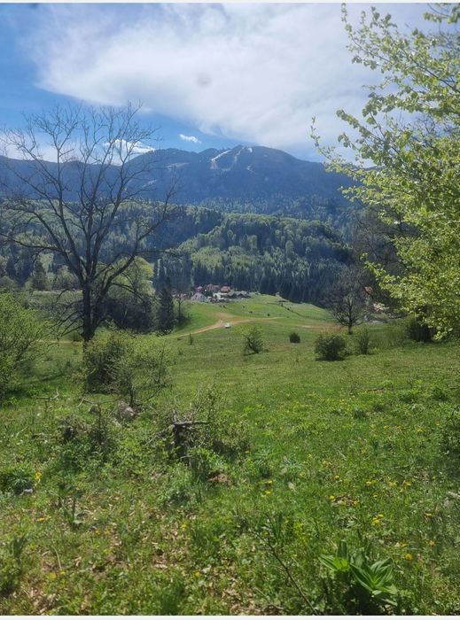 Teren intravilan 7400mp
