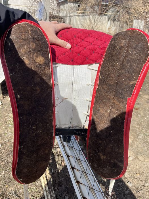 Ертоқым, ат әбзелі