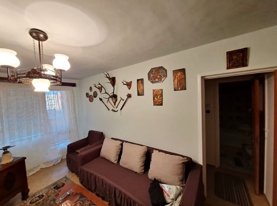 Apt 2 camere 300 euro
