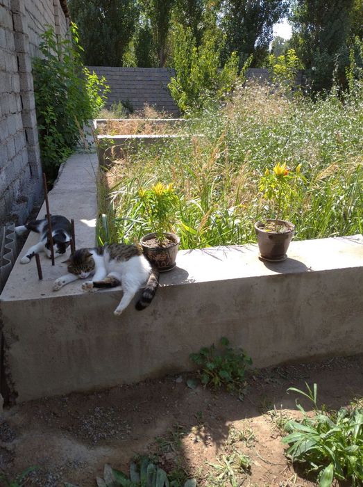 Продается Участок