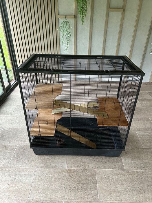 Vand cusca dihori/ iupuri