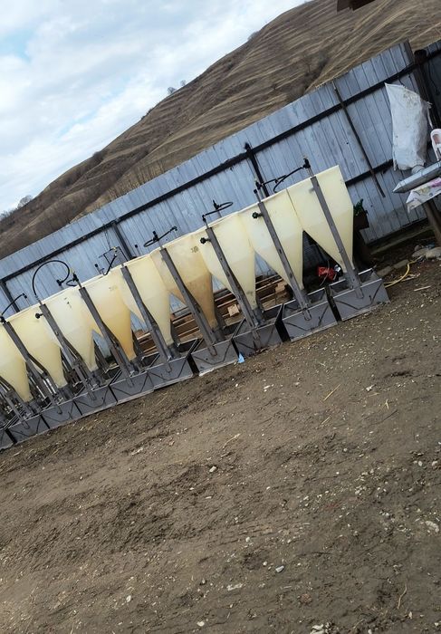 Boxe de fatare , maternitate scroafe