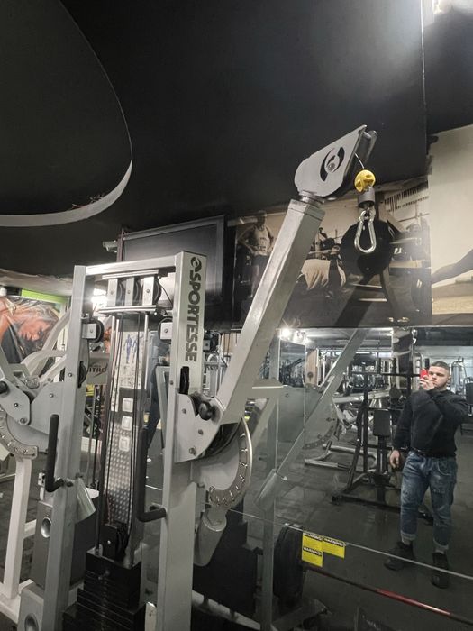 Професионален двоен скрипец Life Fitness