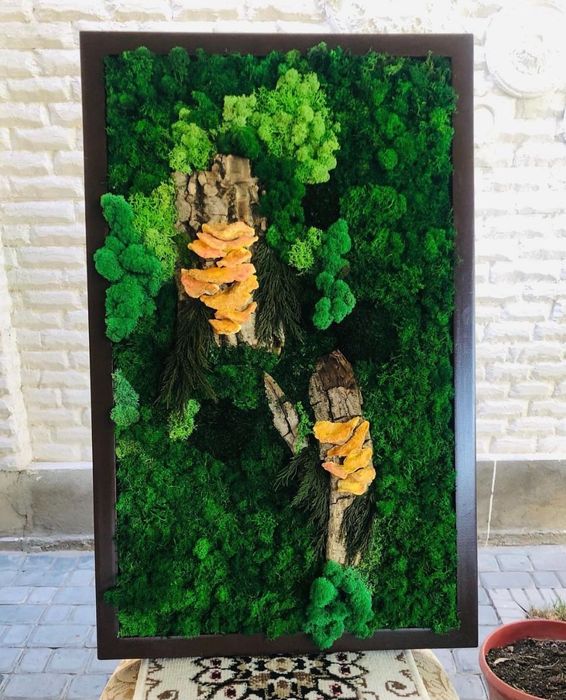 Вертикальное озеленение  растениями и мхом