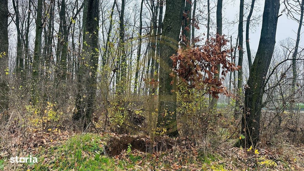 Dom00424 - teren de vanzare in corbeanca