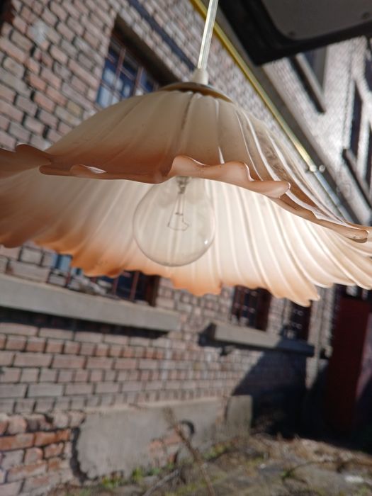 Полилей антика  два броя