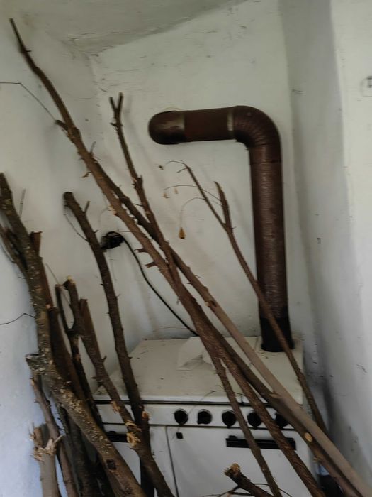 Продава се Парцел в с. Гайтанци, Област Видин - 5321 кв.м за 3 €/кв.м - Снимка #6