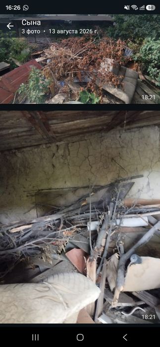 Отдам бесплатно дрова разные