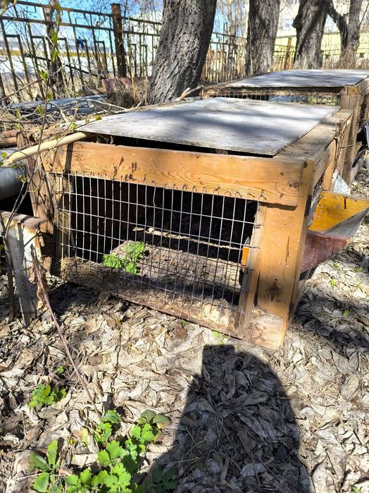 Клетка для кроликов