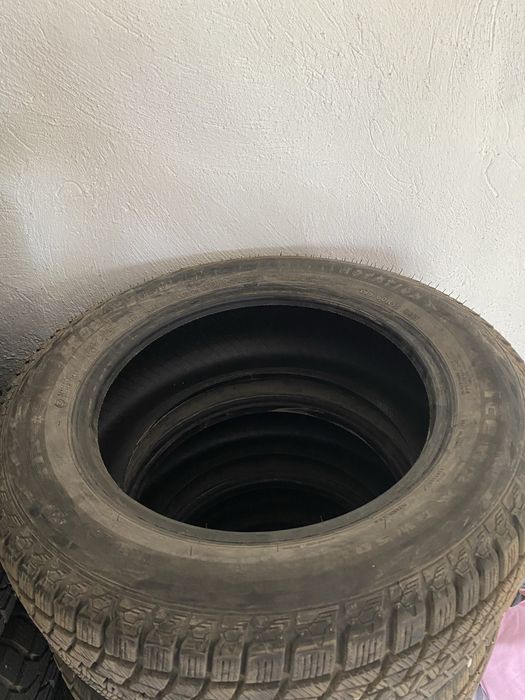 Шина цена низкая