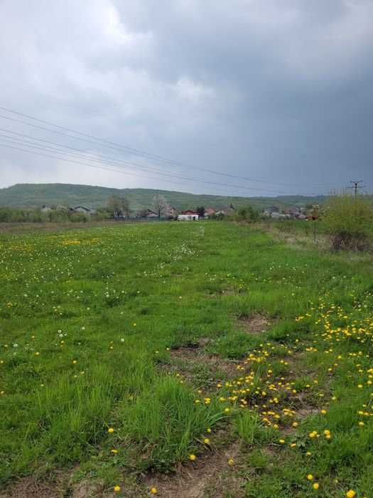 De vânzare teren intravilan Viforâta