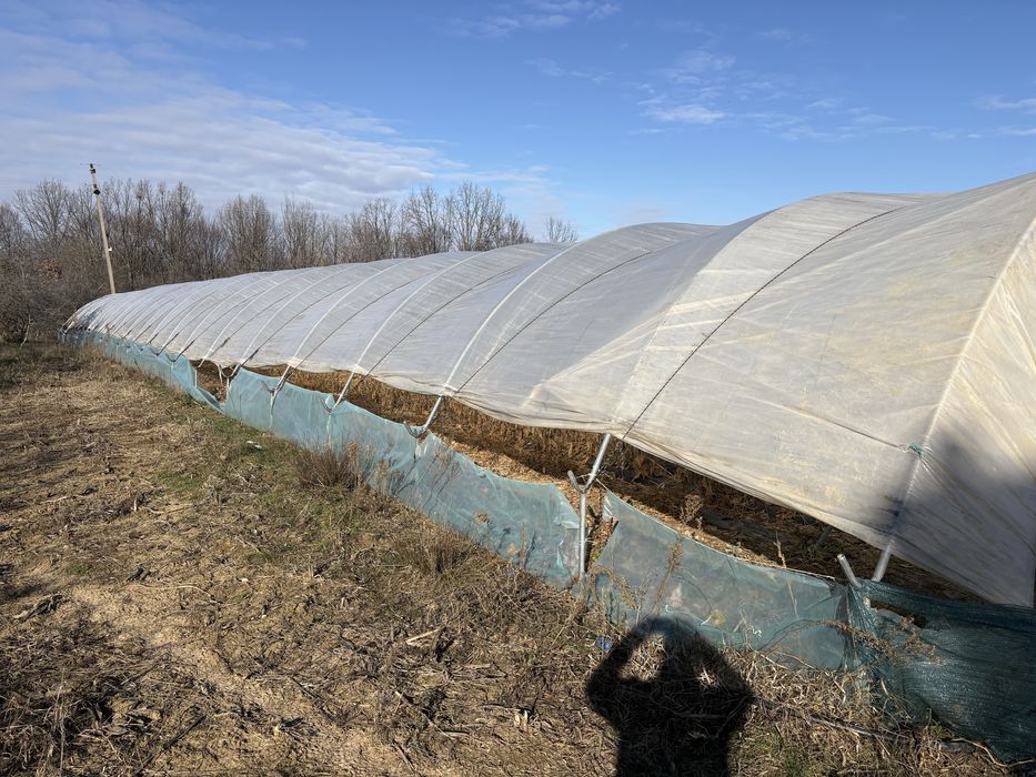 Vand solarii gradina