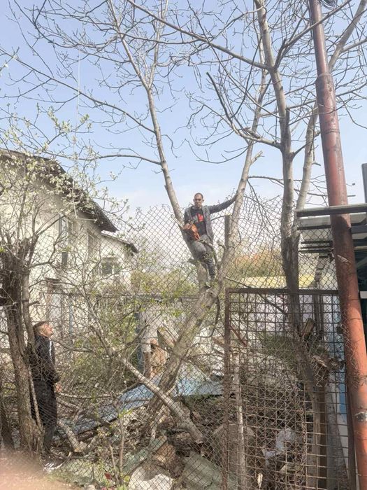 Косене на трева, рязане на опасни дървета