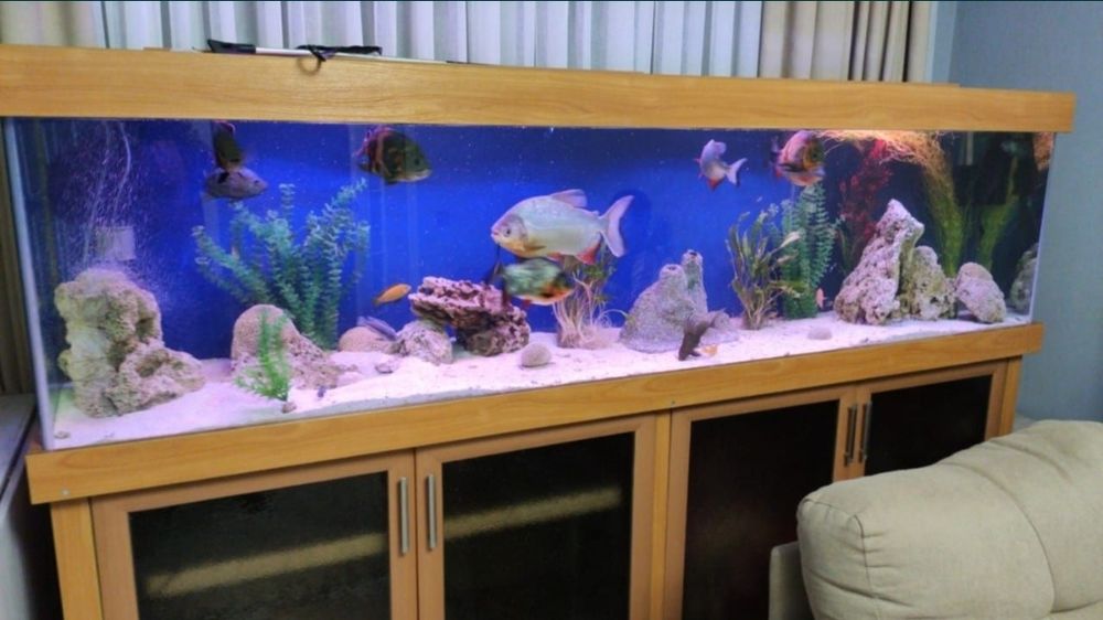 Чистка аквариума  обслуживание аквариума