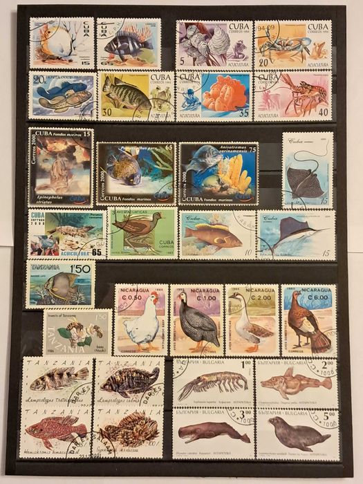 Пощенски марки тема ”Животни”.