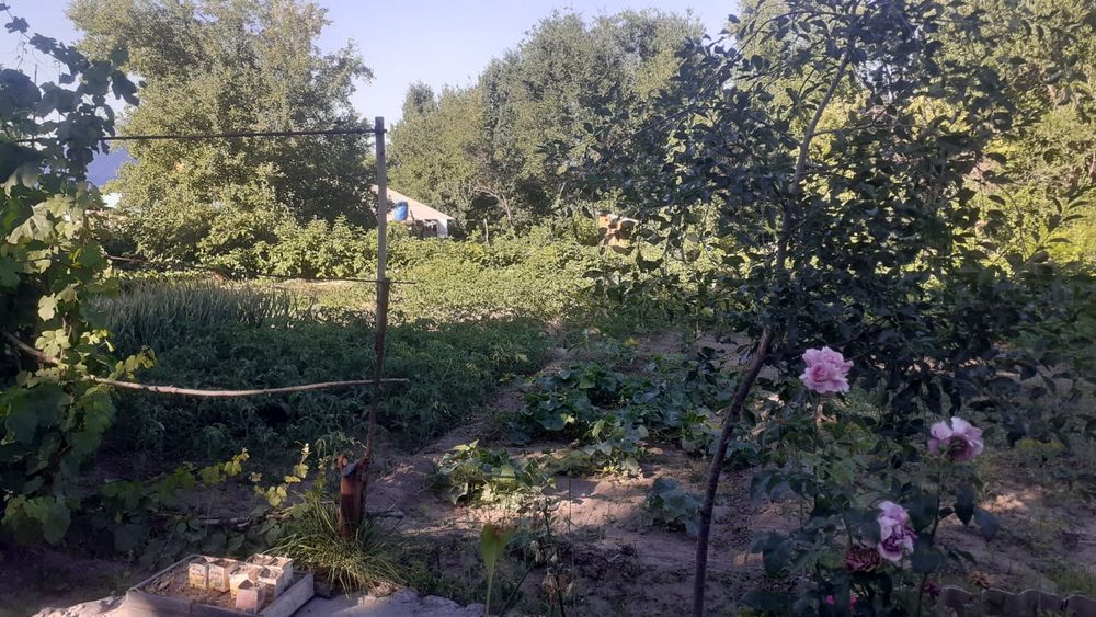 Продам дом в Сарканде