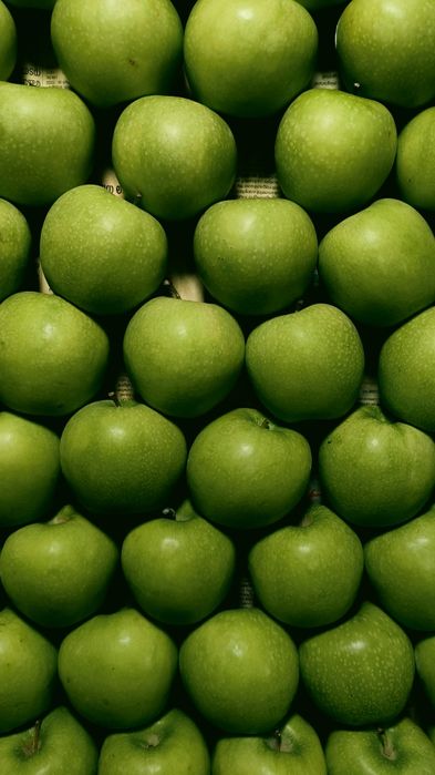 Саженцы яблони 1500