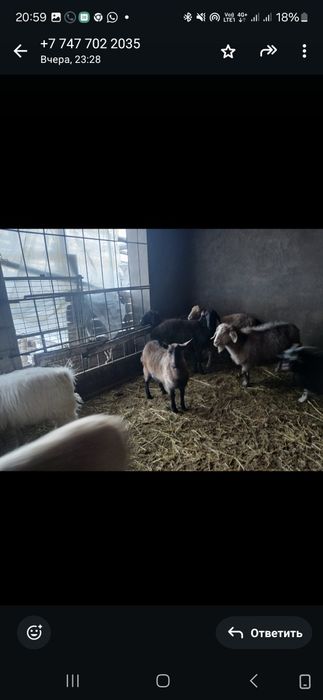 Ешкілер сатылады