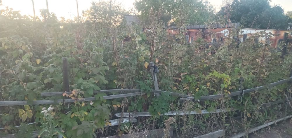 Продаю дачу в Сортировке