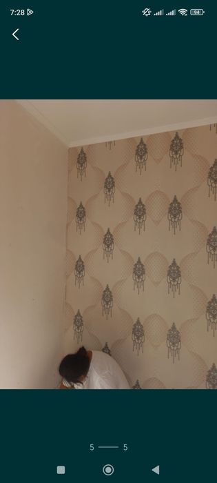 Обой обой обой 24/7