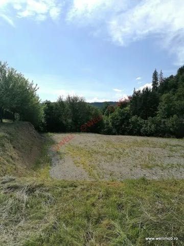 Teren intravilan panoramic, 2.796 mp, Sub Cetate, Harghita