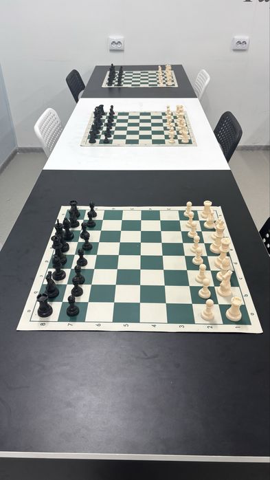 Шахматы классические 50х50