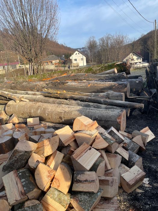 Lemne pentru foc, fag