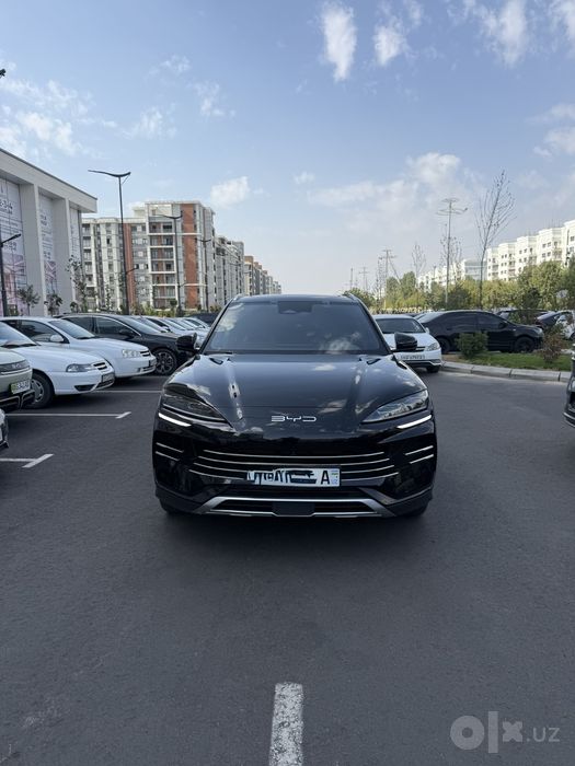 Byd chempion 2024