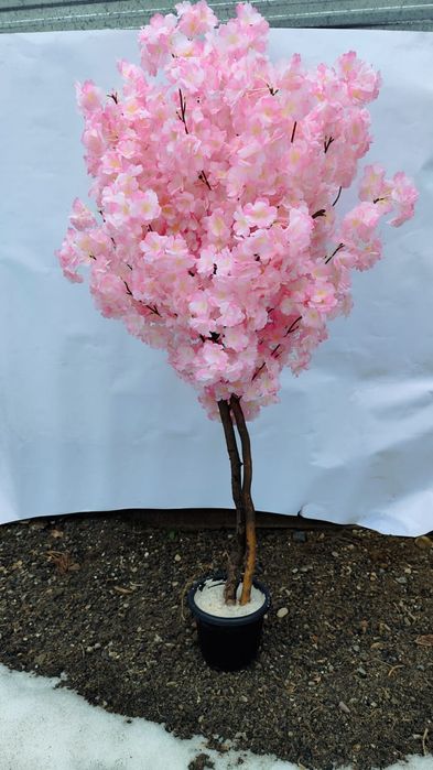 Сакура искусственая