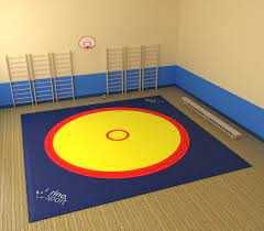 Борцовский ковер (без матов), 6м х 6м