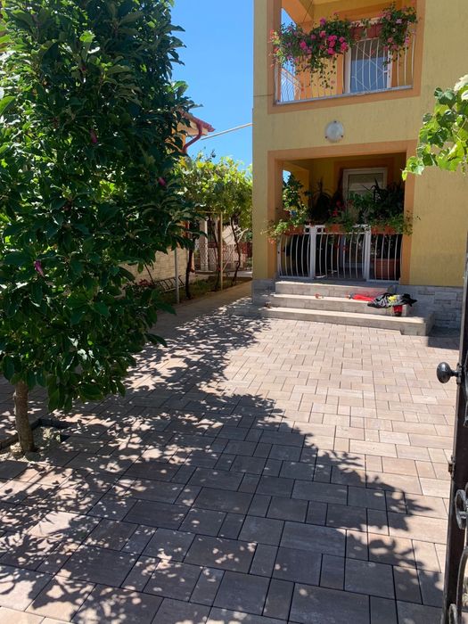 Montez pavele si borduri