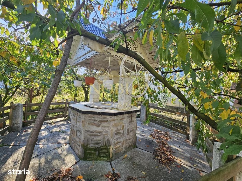 Casa Si Teren De Vanzare Borzesti-Onesti