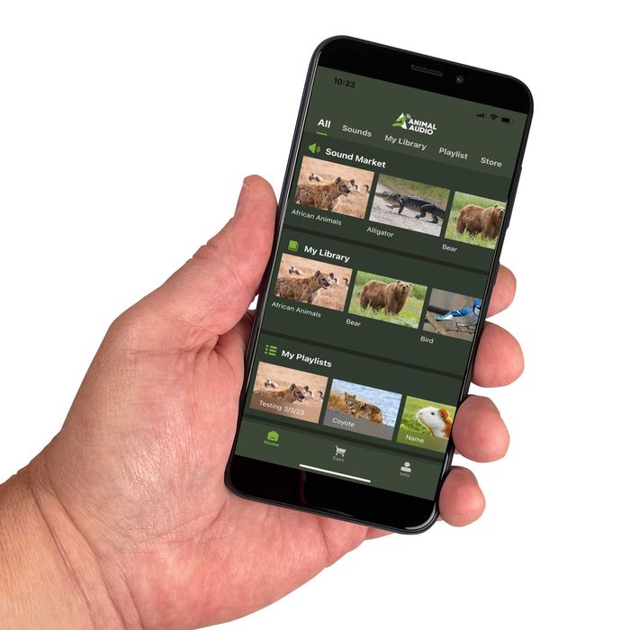 Chematoare ICOtec HELLION+ cu Bluetooth (165 de sunete) cu telecomanda