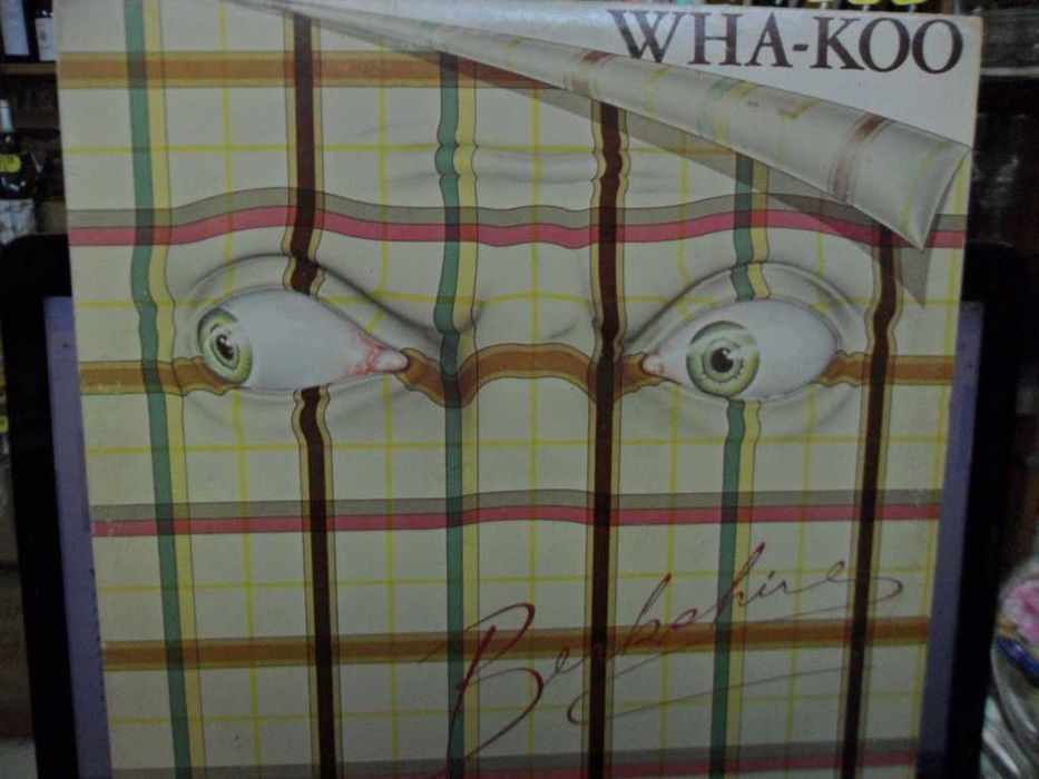 Западни грамофонни плочи по 15 лв