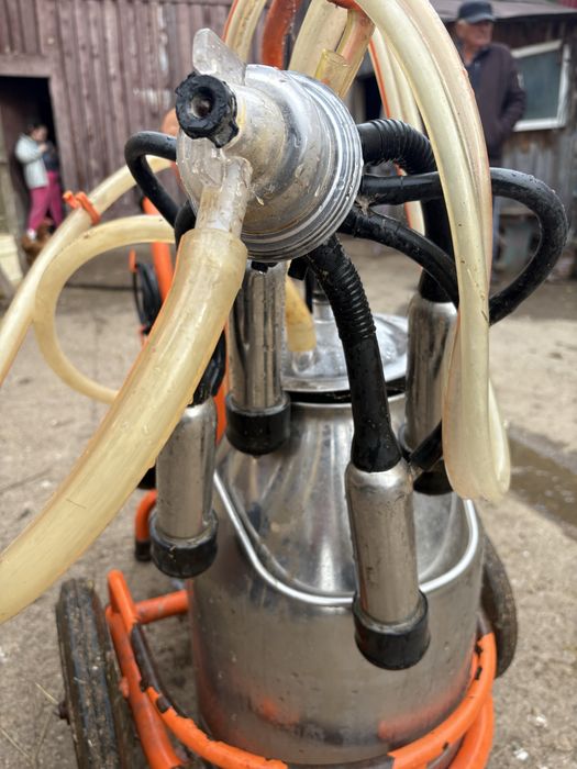 Mulgatoare cu un post