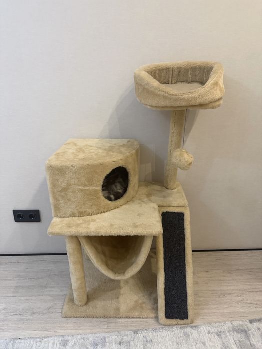 Кошачий большой дом