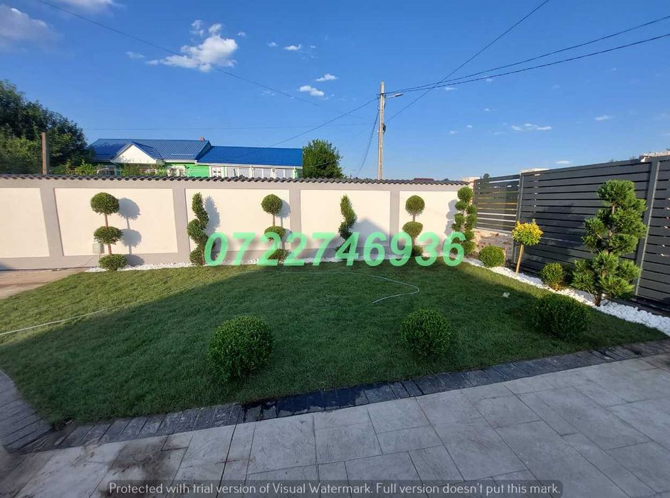 Gazon Natural de Calitate Superioară pentru Exterior