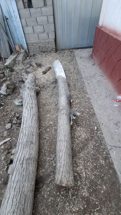 Продам два орех(столб)