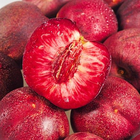 Pomi Fructiferi ( Soiuri Deosebite )