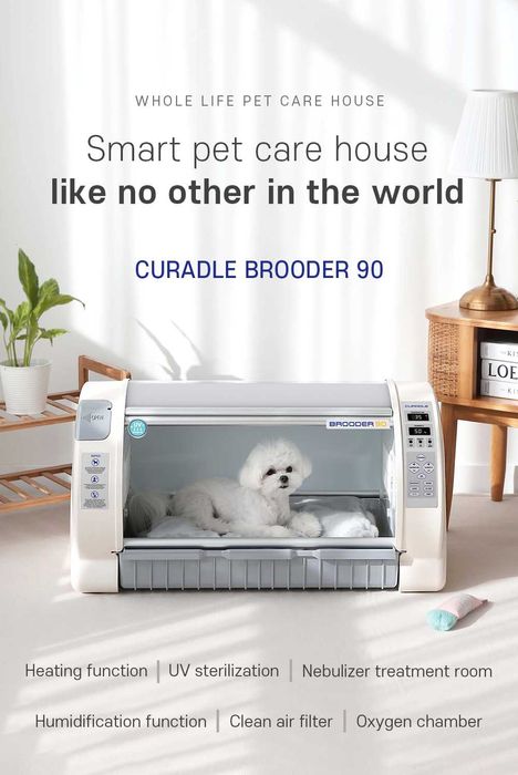 Incubator veterinar Rcom ICU MAX – recuperare câini, pisici, păsări, rozătoare – nou, garanție