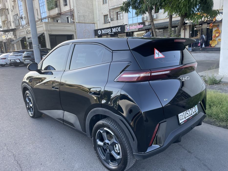 BYD seagull 2024 yil 12900.$