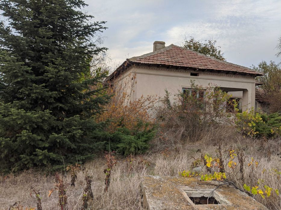 Продава се Парцел в с. Тригорци, Област Добрич - 2500 кв.м за 4 €/кв.м - Снимка #1