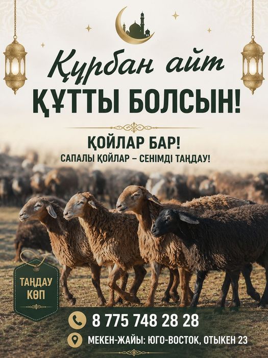 Бараны отыкен 23