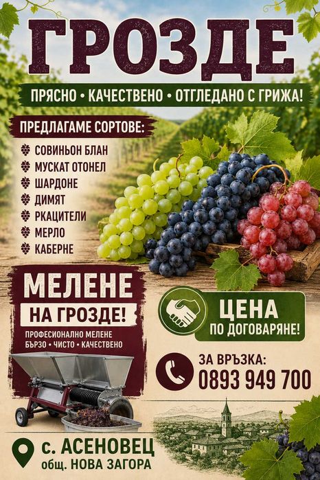 Продавам грозде в района на Нова Загора