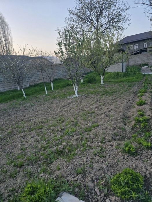 Srochna sotiladiUy sotiladi 8 sotix $125 000 variant bor