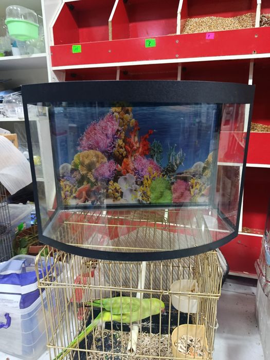 Аквариум авални акция