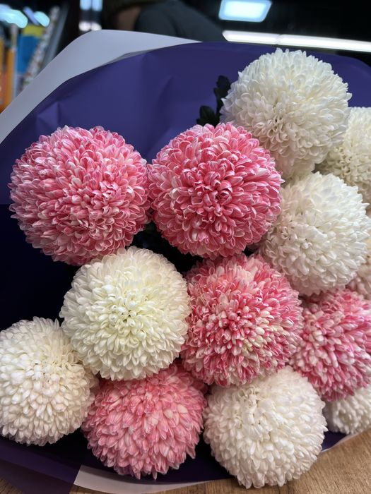 Момото Астана доставка