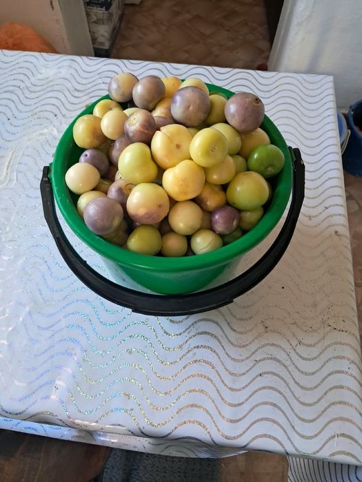 Продаеться свежая клюква