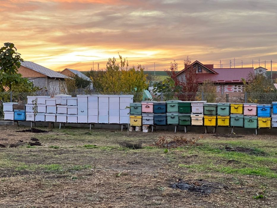 Centrifuga miere patru rame,inox