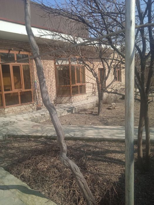 Продается дом 7 суток